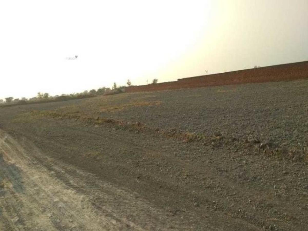 Picture of Residential Land For Sale in Jaipur, Rajasthan, India