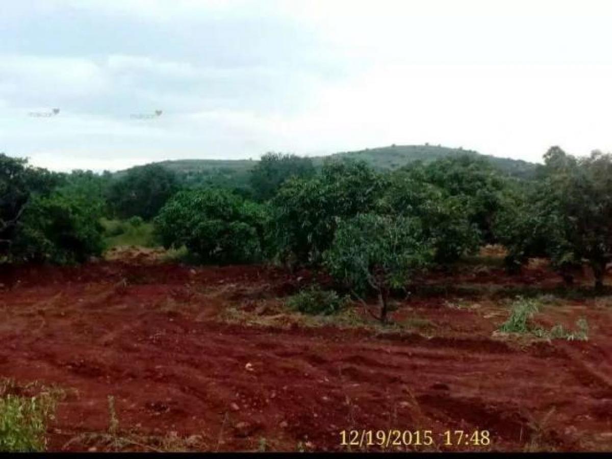 Picture of Residential Land For Sale in Madurai, Tamil Nadu, India
