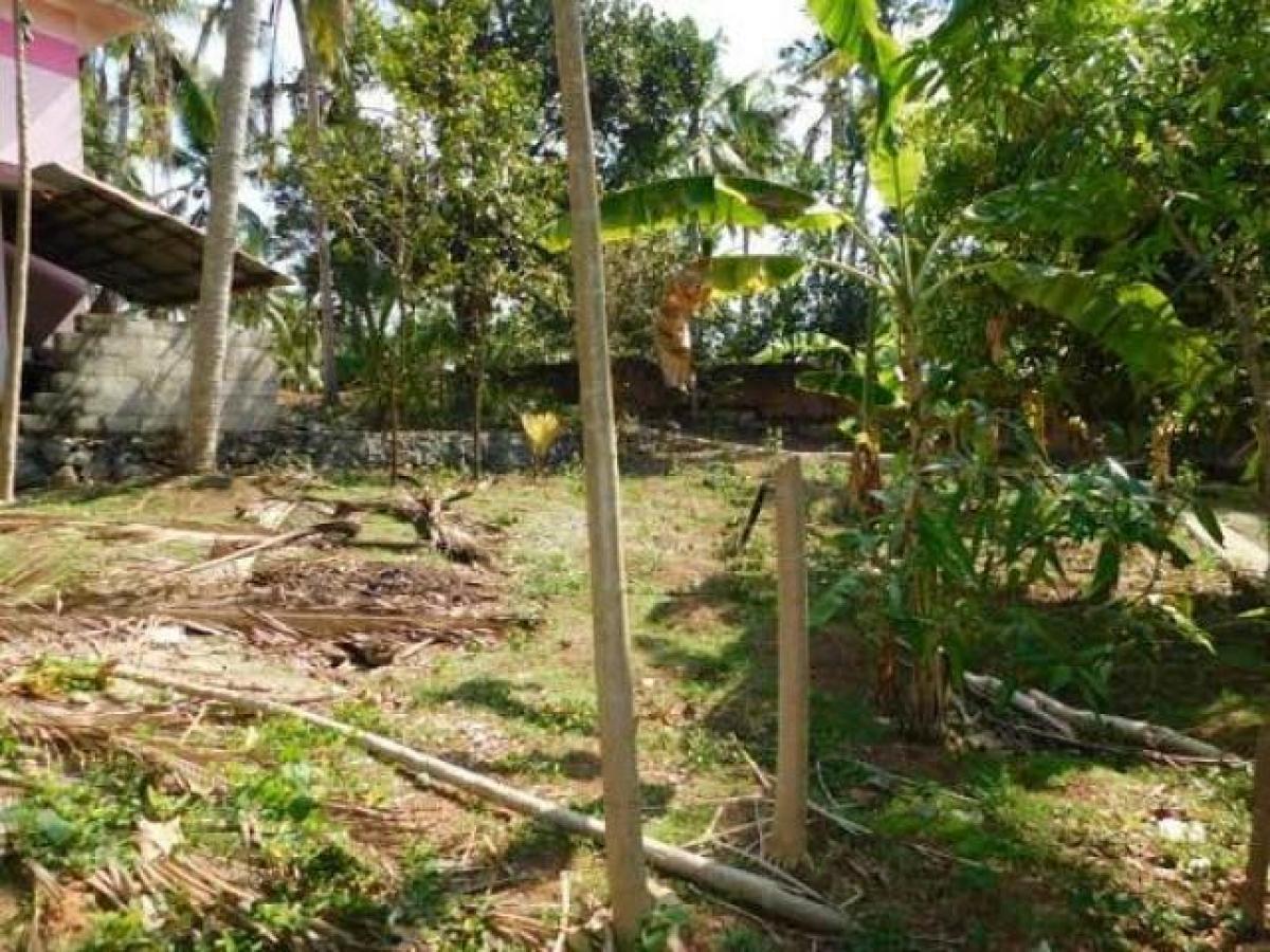 Picture of Residential Land For Sale in Trivandrum, Kerala, India