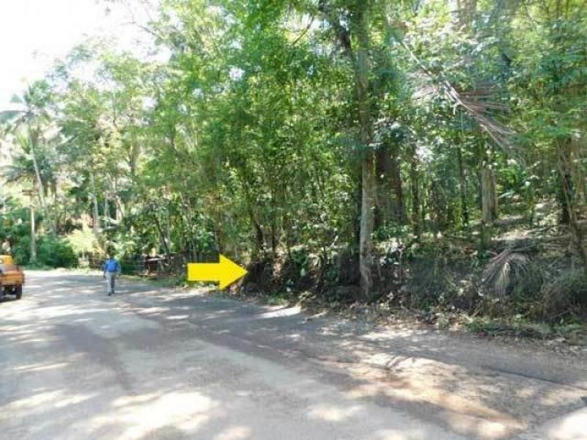 Picture of Residential Land For Sale in Trivandrum, Kerala, India