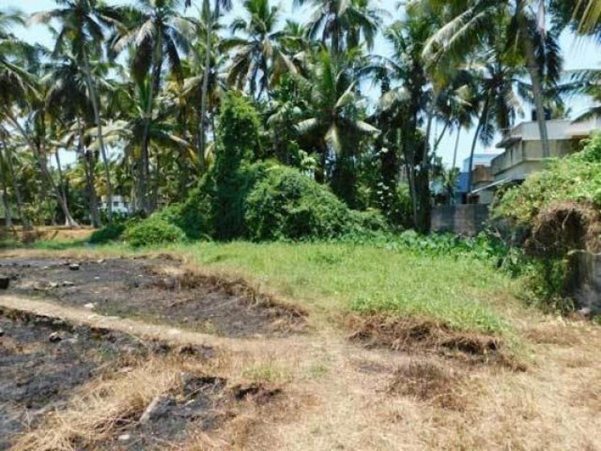 Picture of Residential Land For Sale in Trivandrum, Kerala, India