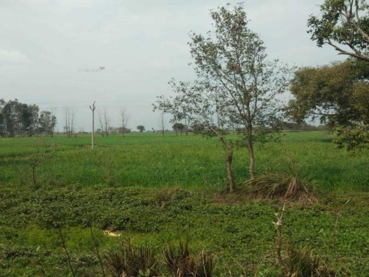 Picture of Residential Land For Sale in Jaipur, Rajasthan, India