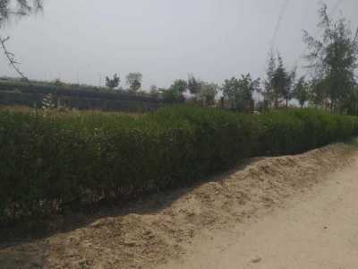 Residential Land For Sale in Jaipur, India