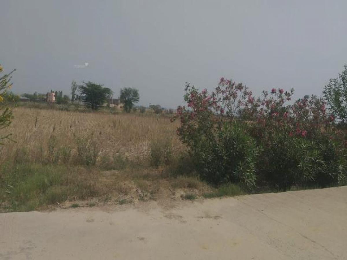 Picture of Residential Land For Sale in Jaipur, Rajasthan, India