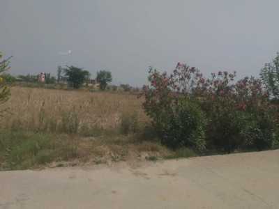 Residential Land For Sale in Jaipur, India