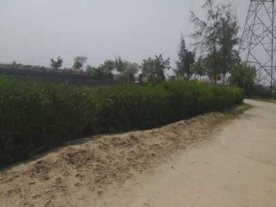 Residential Land For Sale in Jaipur, India