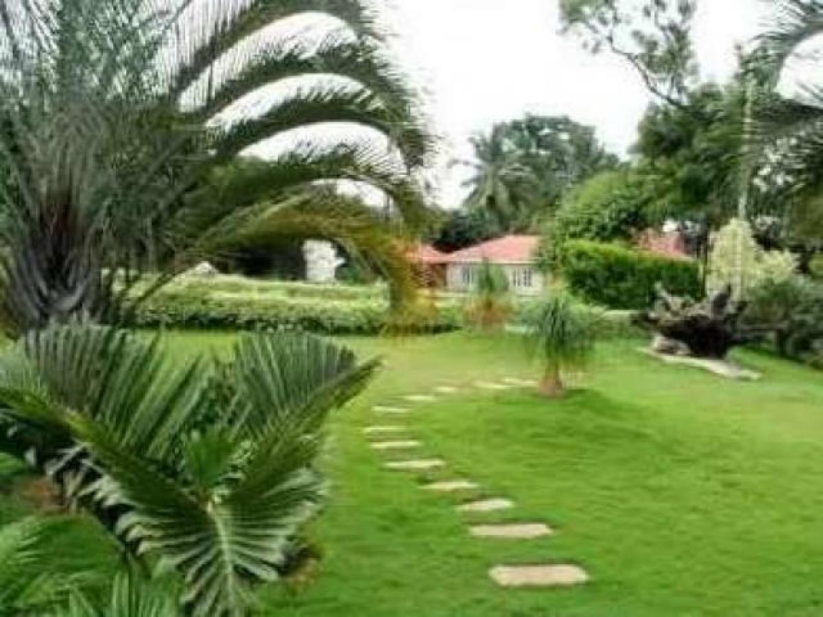 Picture of Residential Land For Sale in Jaipur, Rajasthan, India