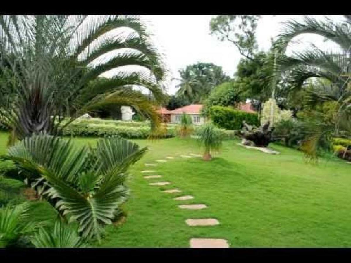 Picture of Residential Land For Sale in Jaipur, Rajasthan, India