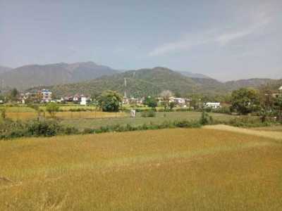 Residential Land For Sale in Dehradun, India