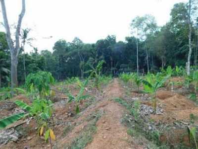 Residential Land For Sale in Trivandrum, India