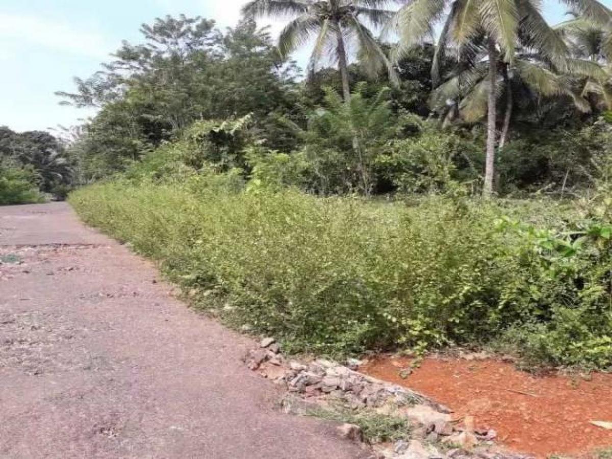 Picture of Residential Land For Sale in Kannur, Kerala, India