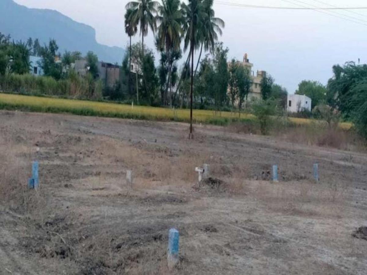 Picture of Residential Land For Sale in Tirupati, Andhra Pradesh, India