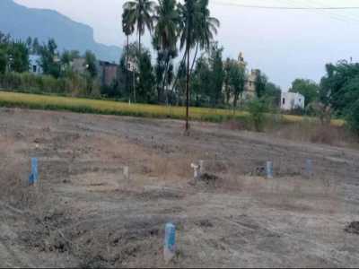 Residential Land For Sale in Tirupati, India