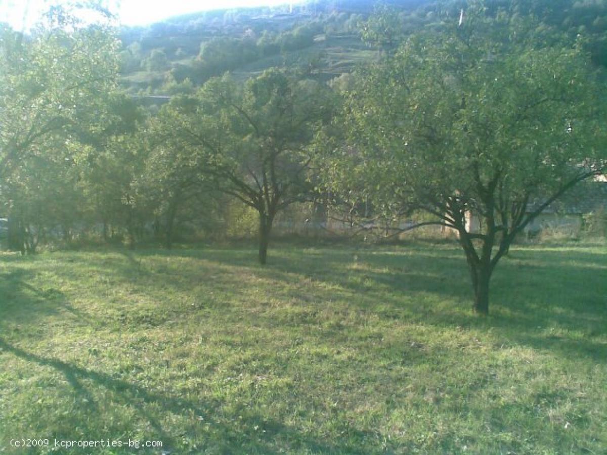 Picture of Residential Land For Sale in Smyadovo, Shumen, Bulgaria