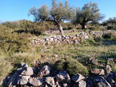 Residential Land For Sale in Kalamata, Greece
