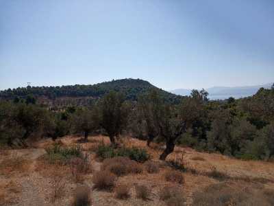 Residential Land For Sale in Eretria, Greece