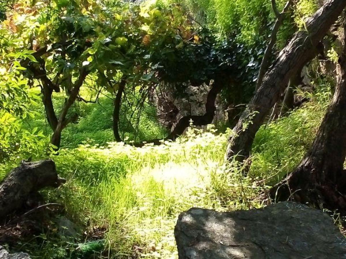 Picture of Residential Land For Sale in Andros, Cyclades Islands, Greece