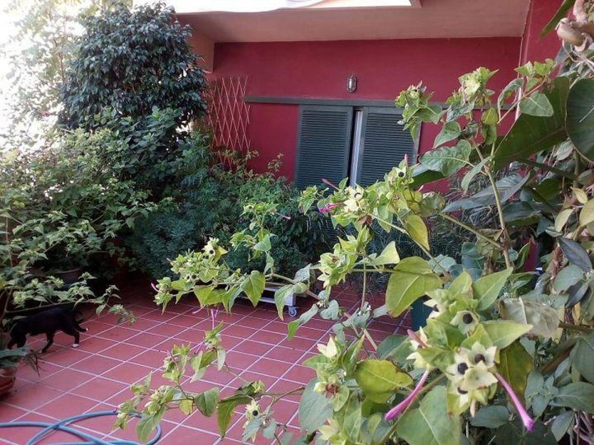 Picture of Apartment For Sale in Chania, Crete, Greece