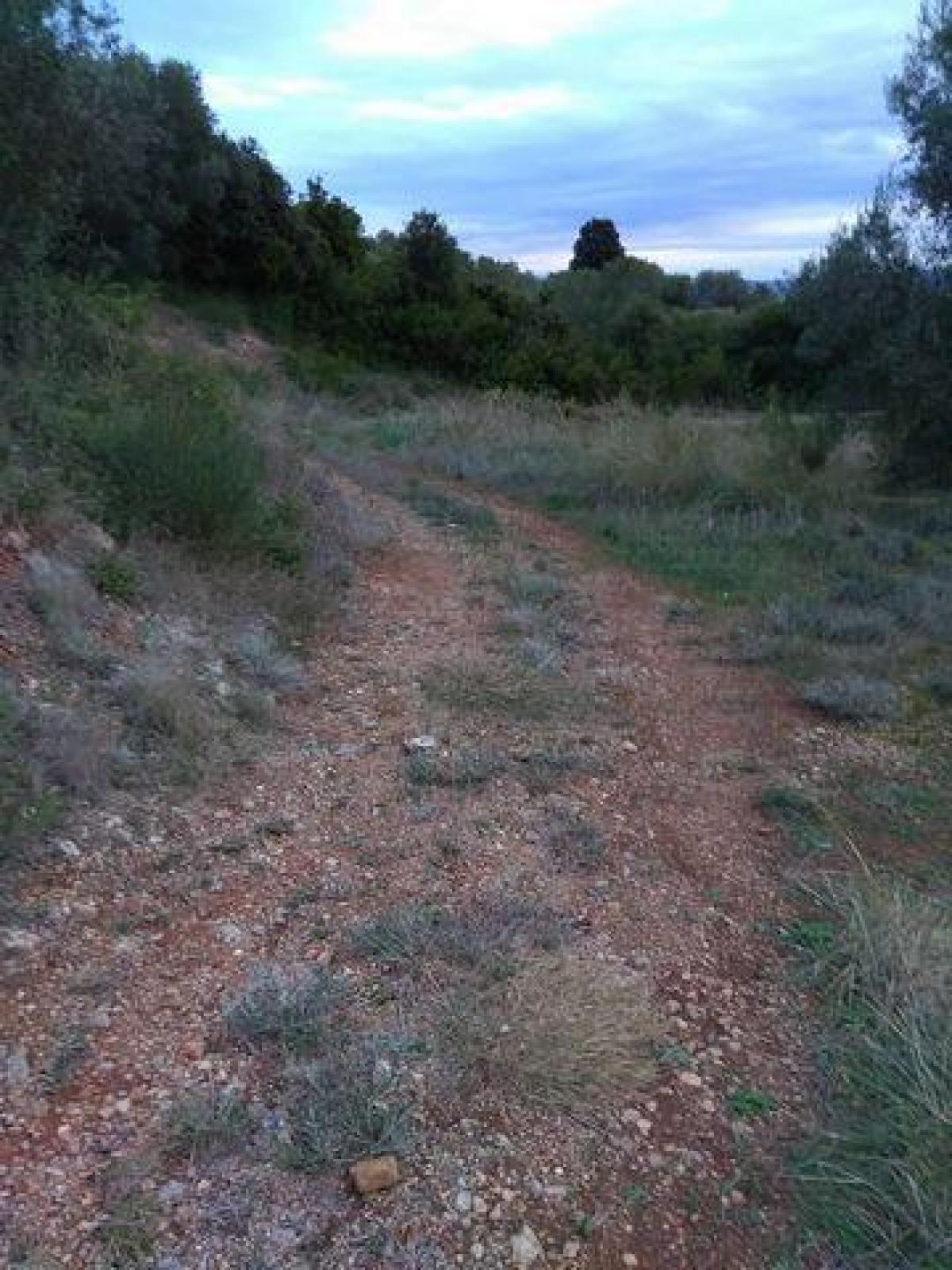 Picture of Residential Land For Sale in Corfu, Ionian Islands, Greece