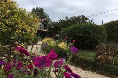 Home For Sale in Cellefrouin, France