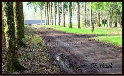 Home For Sale in La Bussiere, France