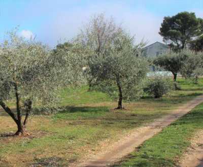 Home For Sale in Carpentras, France