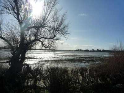 Condo For Sale in Roscoff, France