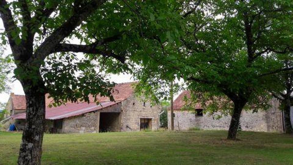 Picture of Farm For Sale in Salignac Eyvignes, Aquitaine, France