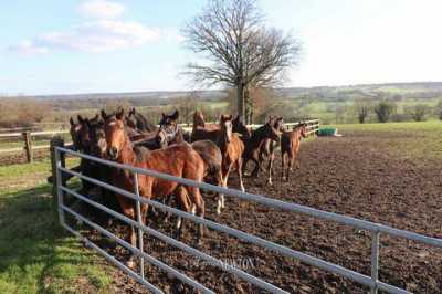 Home For Sale in Rennes, France