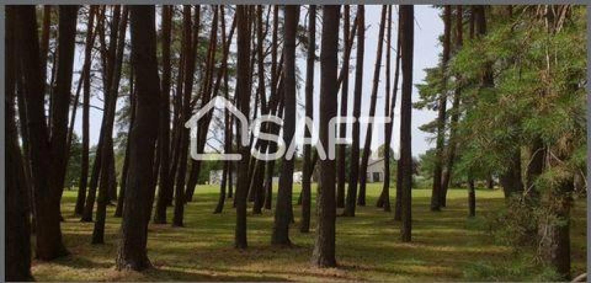 Picture of Office For Sale in Chateauroux, Centre, France