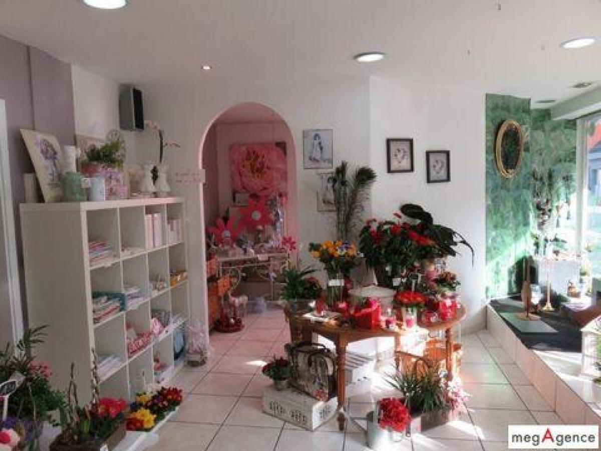 Picture of Office For Sale in Dannemarie, Centre, France