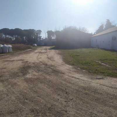 Farm For Sale in
