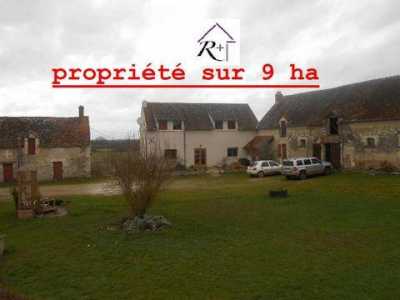 Farm For Sale in Martizay, France