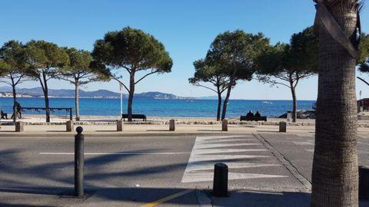 Picture of Office For Sale in La Ciotat, Provence-Alpes-Cote d'Azur, France