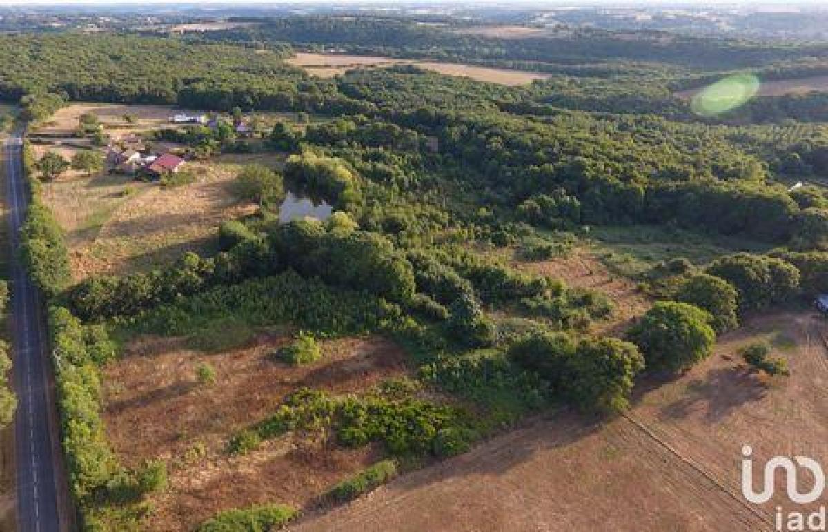 Picture of Home For Sale in Persac, Poitou Charentes, France