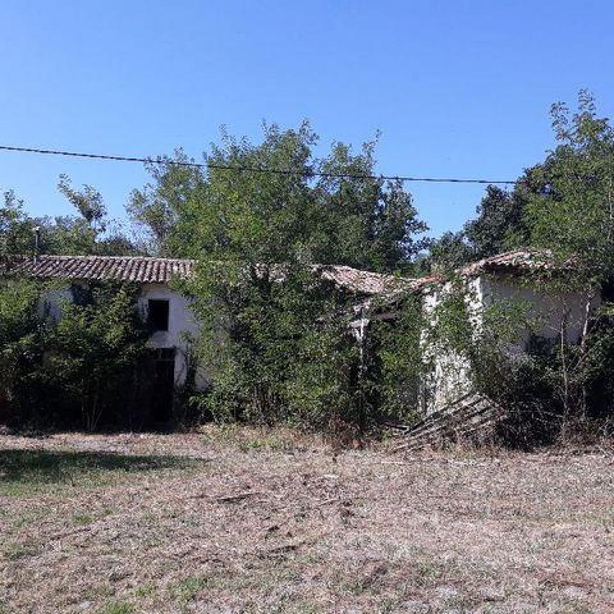 Picture of Home For Sale in Landiras, Aquitaine, France