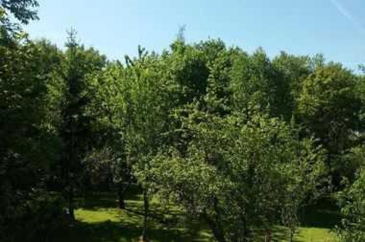 Picture of Home For Sale in La Roche Sur Yon, Vend, France