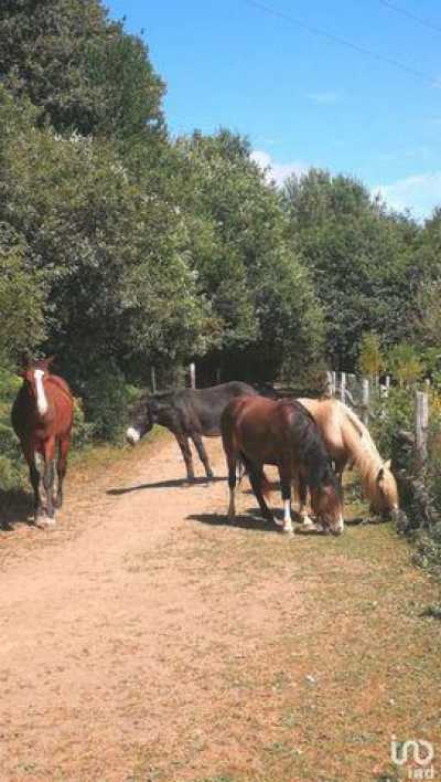 Home For Sale in Plumelec, France