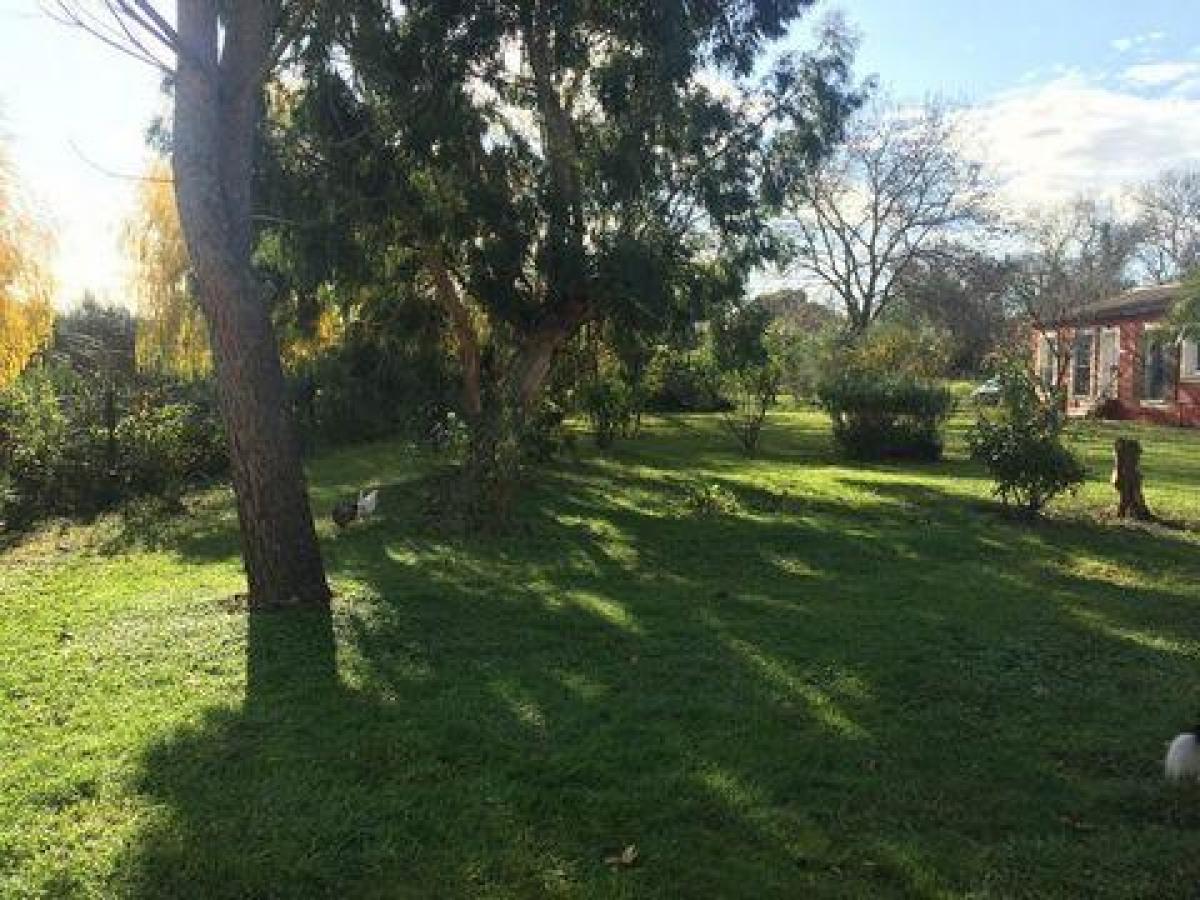 Picture of Home For Sale in Arles, Provence-Alpes-Cote d'Azur, France