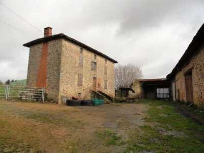 Retail For Sale in Saint-Cyr, France