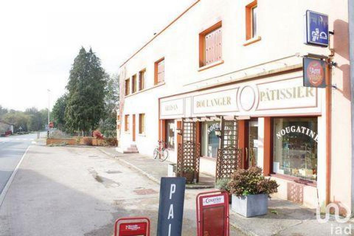 Picture of Industrial For Sale in Le Busseau, Poitou Charentes, France