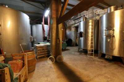 Retail For Sale in Saint Emilion, France