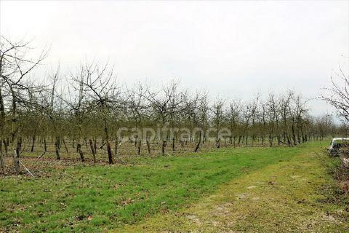 Picture of Home For Sale in Credin, Morbihan, France