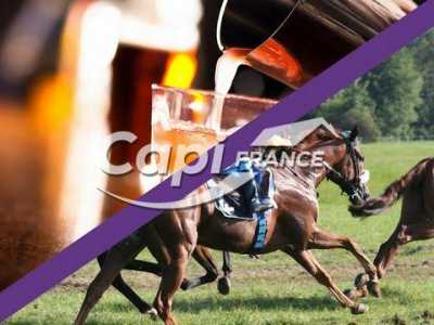 Office For Sale in Le Creusot, France