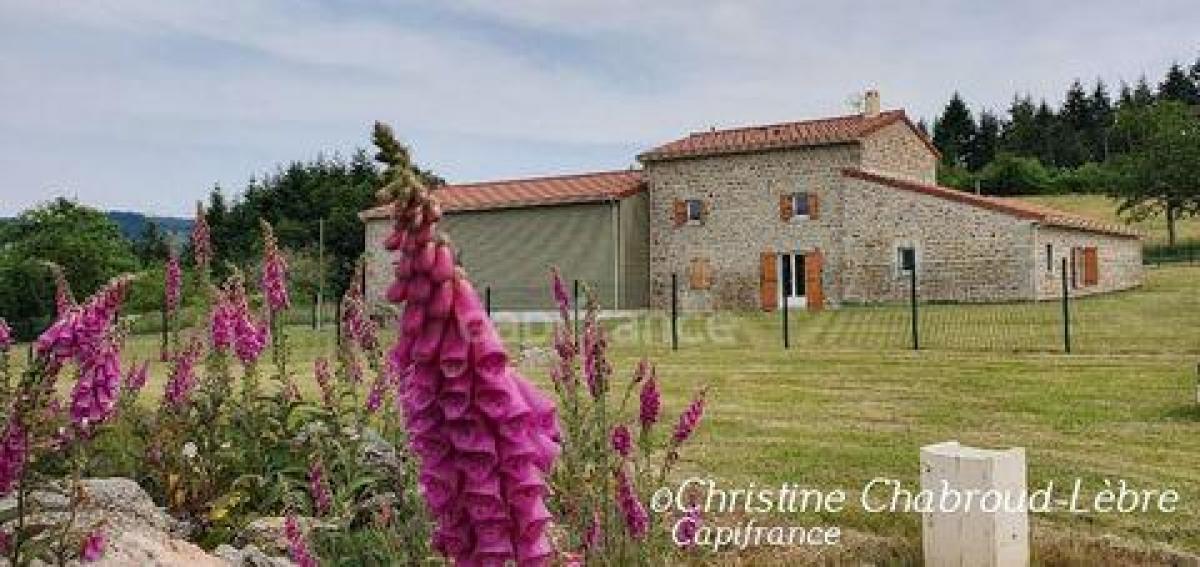 Picture of Home For Sale in Thiers, Auvergne, France