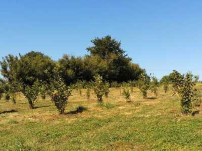 Home For Sale in Charolles, France