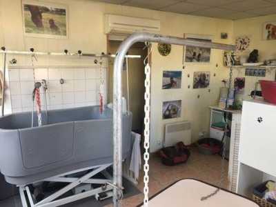 Office For Sale in Marseille, France