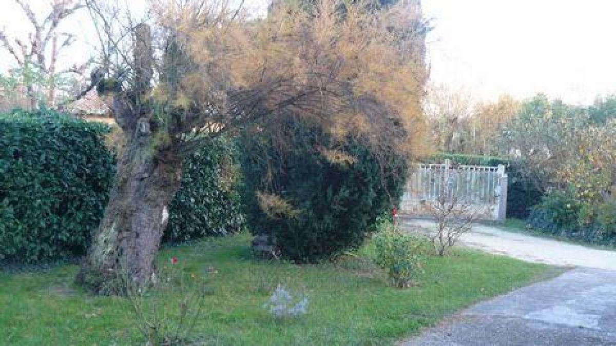 Picture of Home For Sale in Bergerac, Aquitaine, France