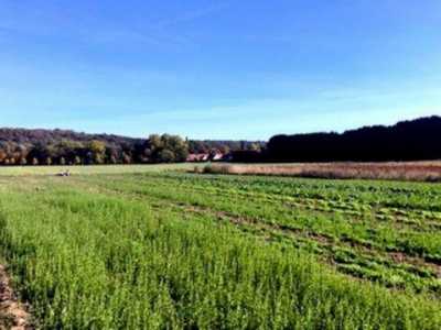 Office For Sale in Marcoussis, France