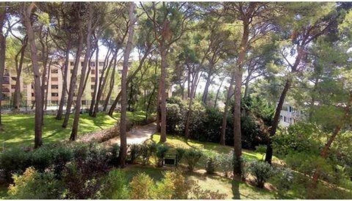 Picture of Condo For Sale in Le Cannet, Cote d'Azur, France